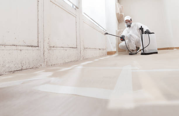 24/7 Emergency Crawl Space Mold Removal experts in Easton, PA