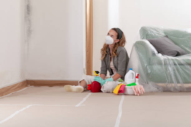 Reliable Crawl Space Mold Removal contractor in Easton, PA by WQB Mold Removal