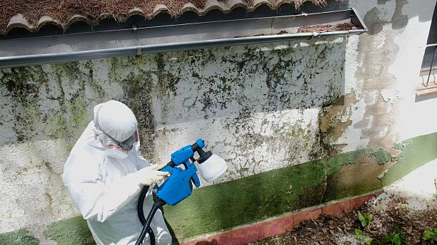 Top rated local Crawl Space Mold Removal specialists in Easton, PA